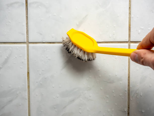  Rio Bravo, TX Mold Removal Pros