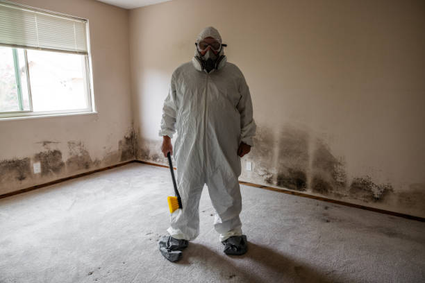 Best Bathroom Mold Remediation in Rio Bravo, TX